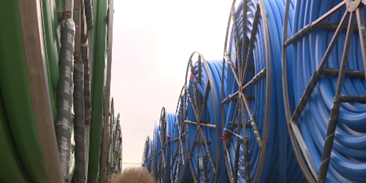 Kromer pleads guilty to embezzling millions from internet project