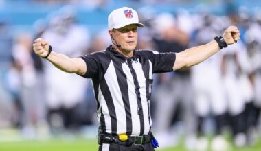 Every NFL Referee's Full-Time Job, Including Financial Advisor, Aerospace Software Engineer and More