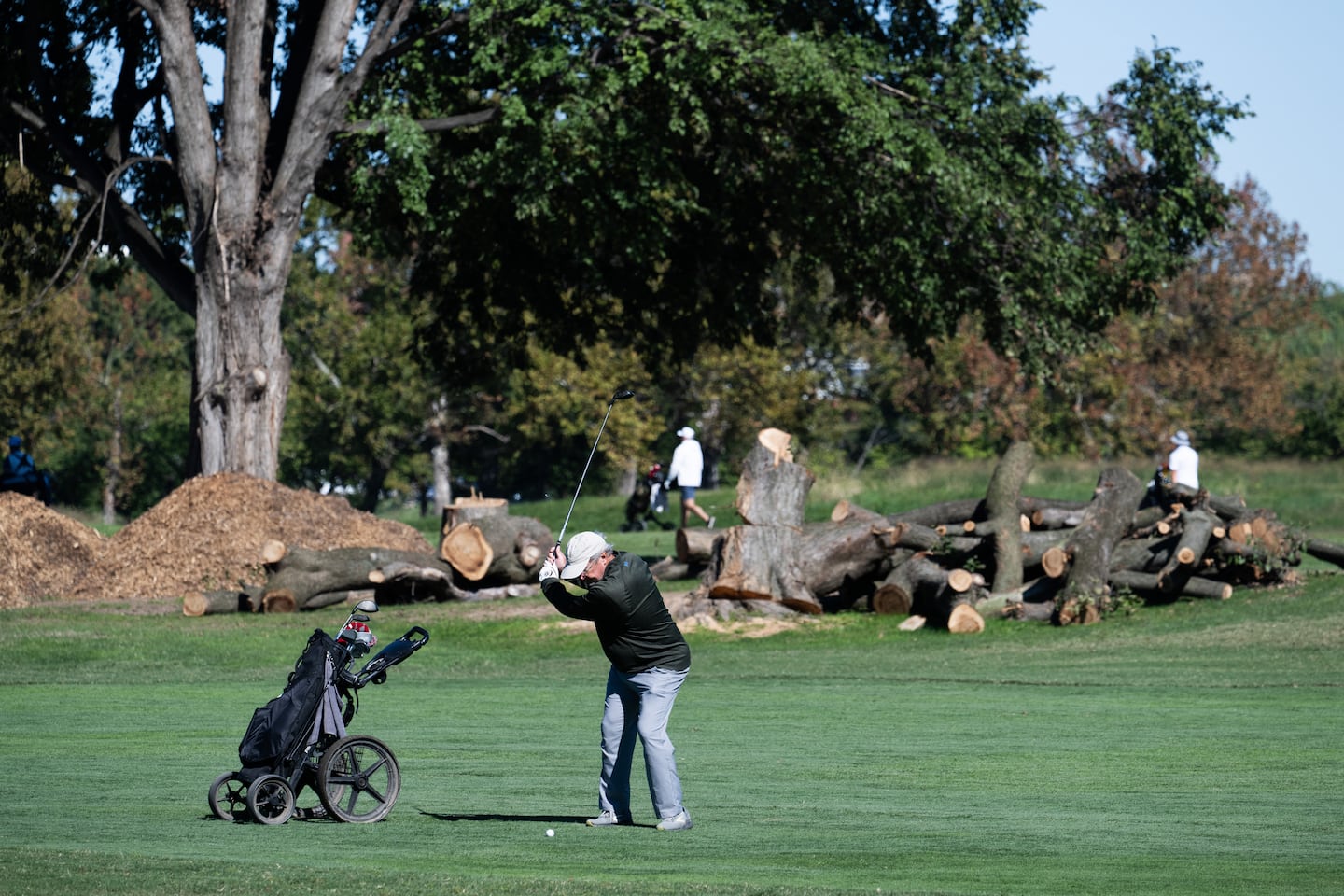 A golfer played on the course near cut down trees at East Potomac Golf Links near Hains Point in Washington, D.C., Oct. 19. 