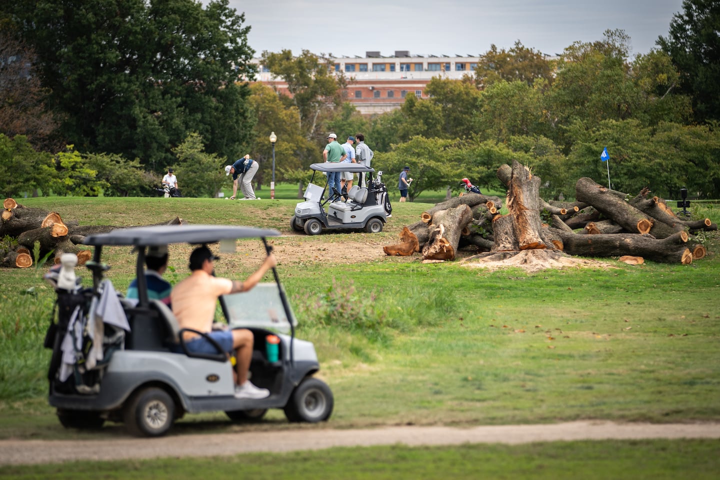 Golfers passed trees recently cut down by the National Park Service, at East Potomac Golf Links, Oct. 10 in Washington, D.C. 