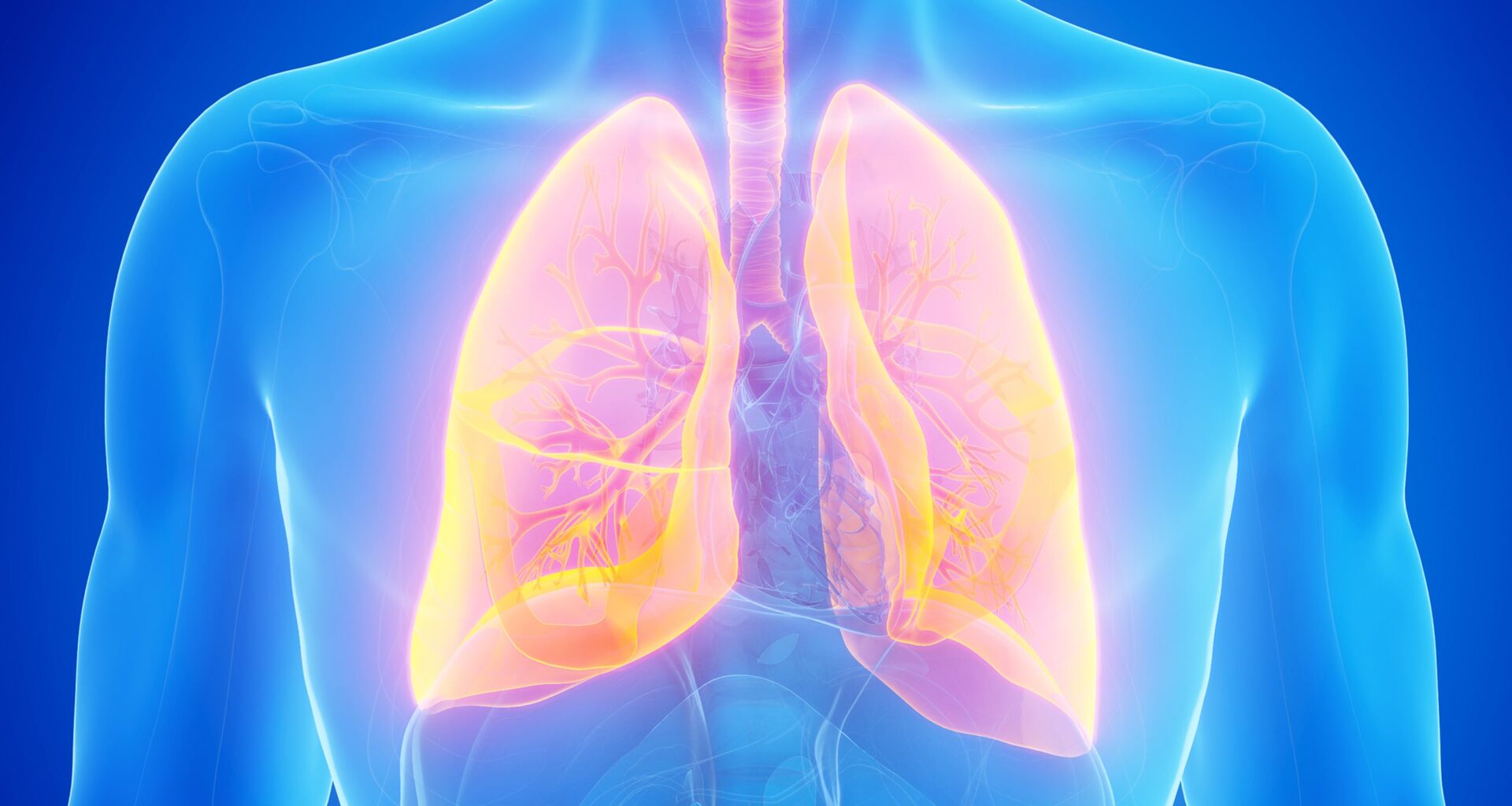 An Overlooked Immune Cell Killed The Deadliest Form of Lung Cancer in Lab Tests : ScienceAlert