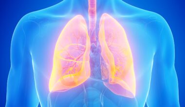 An Overlooked Immune Cell Killed The Deadliest Form of Lung Cancer in Lab Tests : ScienceAlert