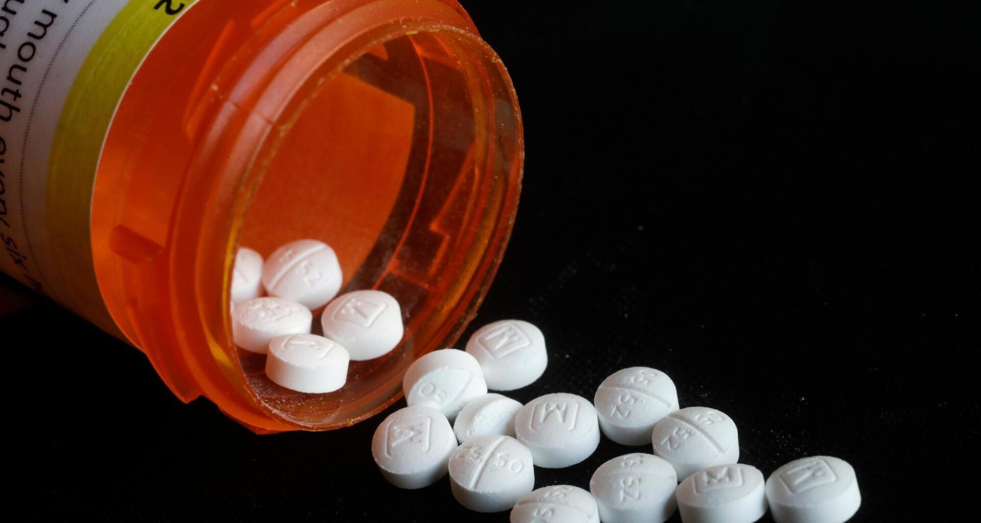 CT researchers studied nutrient found in red meat and exercise supplements