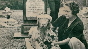 Pet Cemetery Murders: A Ghost Story