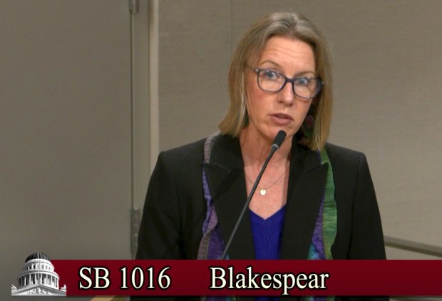 Sen. Catherine Blakespear, D-Encinitas, testifies on her bill, SB 1016, before the California Senate Judiciary Committee on Tuesday, Apr. 21, 2026.