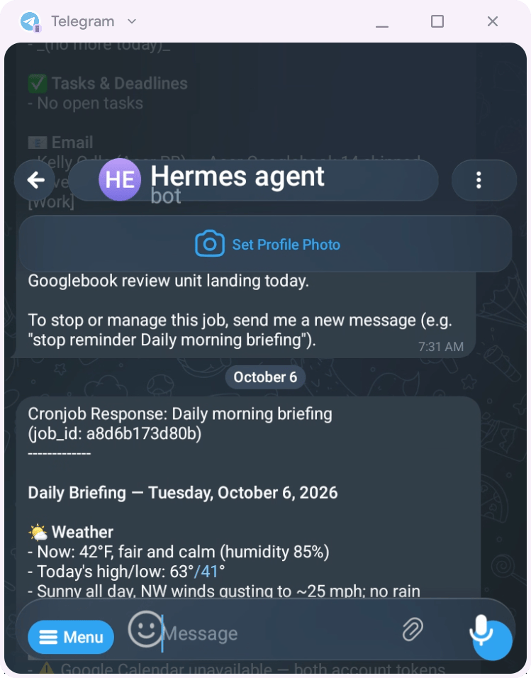<em>Some apps like Telegram do not resize well on Googlebook OS.</em>