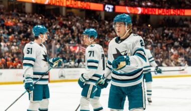 Preview/Lines #13: Why Splitting Celebrini-Smith Could Make Sense?