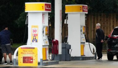 states sue over fuel economy standards