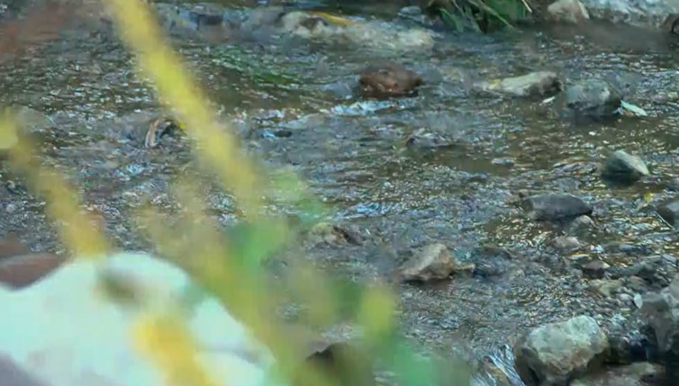 A wet August and September got Summerhaven out of Stage III water restrictions, and a heavy...