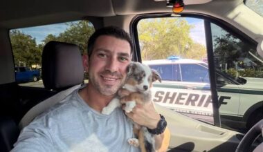 Exotic pet store owner gets stolen puppy back, but the investigation is still ongoing