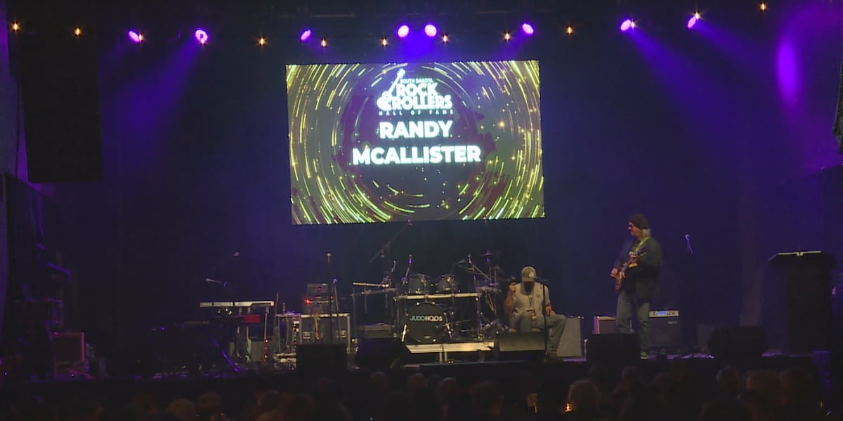 Musicians, DJs, venues and more inducted into SD Rock & Rollers Hall of Fame
