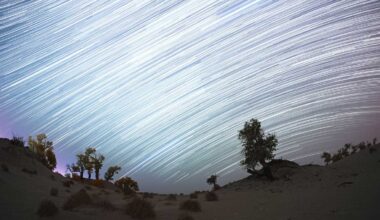 Orionid meteor shower peaks tonight — Here's how to see it