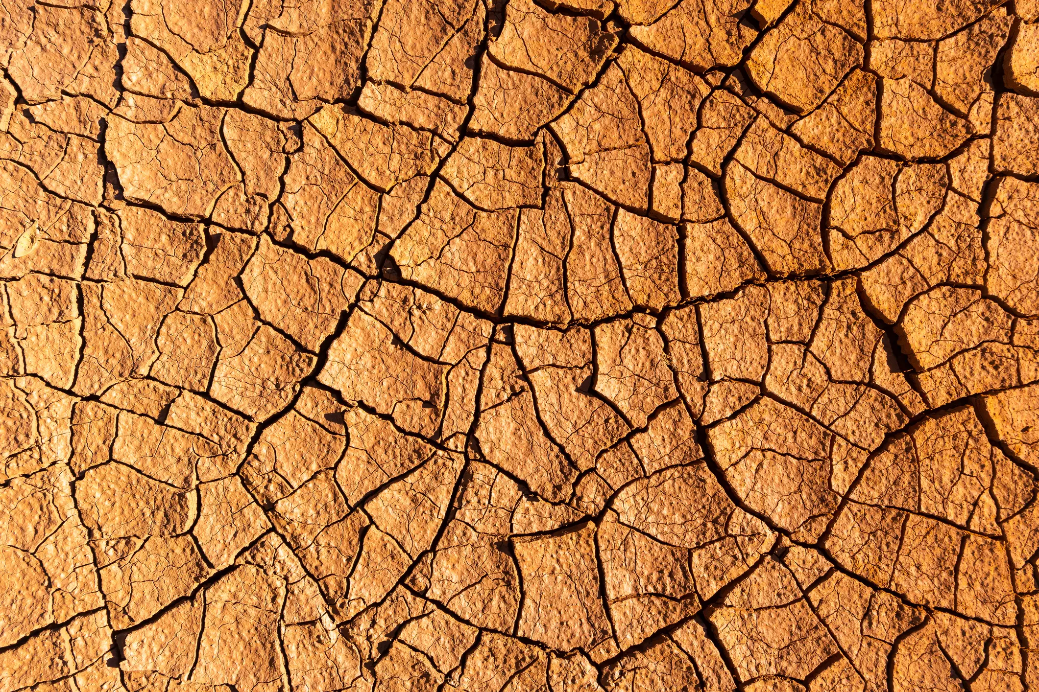 El Niño can have a wide ranging impact depending on location