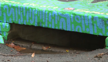 SC artists paint storm drains to raise awareness of Lake Hartwell