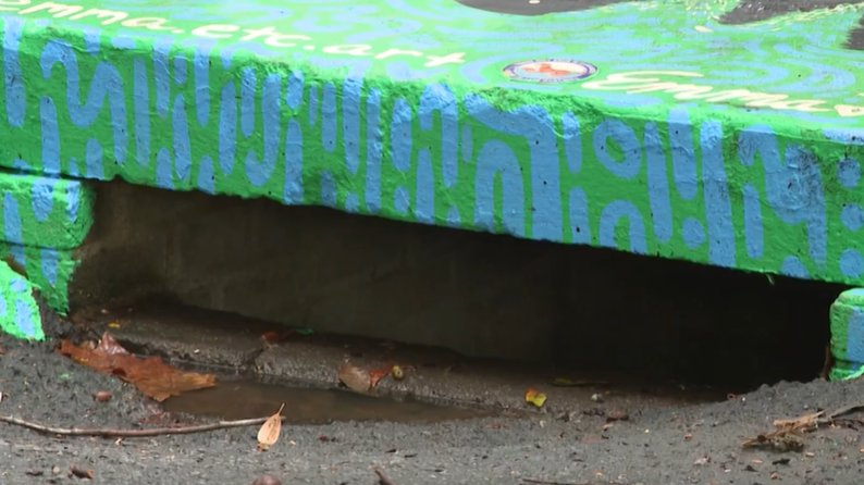 SC artists paint storm drains to raise awareness of Lake Hartwell