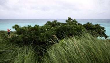 Bermuda Championship pushed to rare Monday playoff after only 54 holes