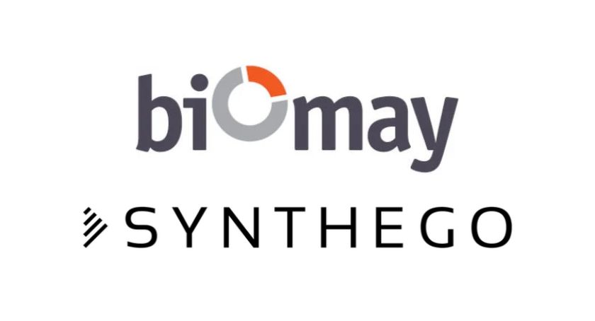 Biomay, Synthego Partner to Streamline cGMP CRISPR Manufacturing Services