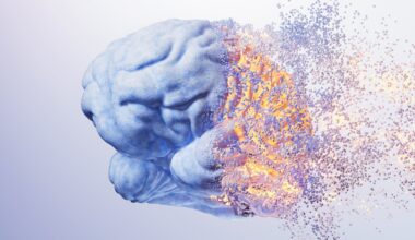 Alcohol Doesn't Just Affect Neurons – It Triggers Immune Cells to Destroy The Brain's Structural Matrix, Mouse Study Shows : ScienceAlert