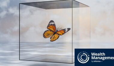 Butterfly Effect of State Mandates on 401(k) Plans