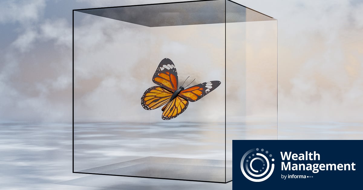 Butterfly Effect of State Mandates on 401(k) Plans