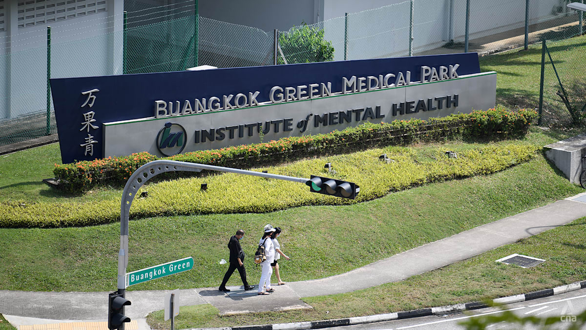 IMH to be expanded, redeveloped by 2040 as Singapore boosts mental health capacity