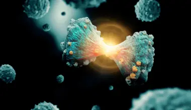 Scientists discover how pancreatic cancer rewrites its DNA to escape treatment