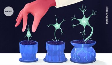 Can your brain grow new neurons? How researchers are solving a century-old puzzle