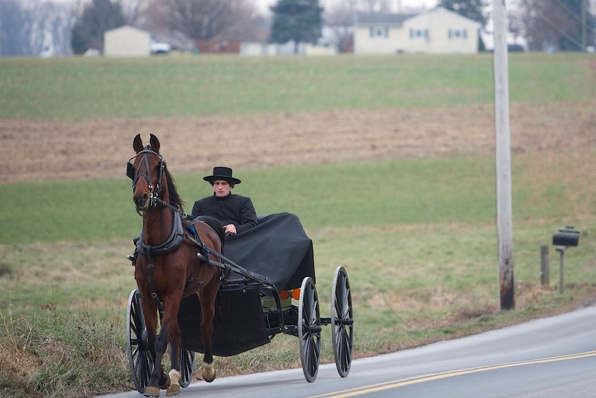 An Amish man in black clothing and a broad-brim hat sitting in a black buggy cart being pulled by a brown horse on a road.