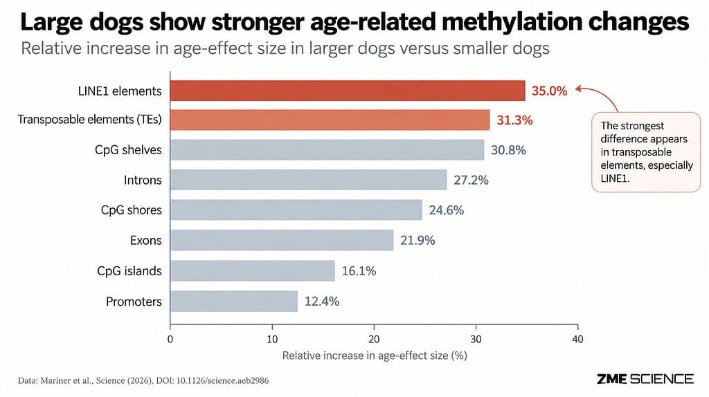 Graph showing study finding on DNA methylation