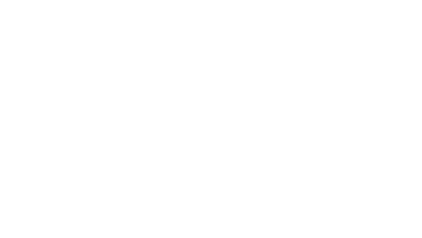 Disney EarMarked Authorized Travel Agency, Platinum Level