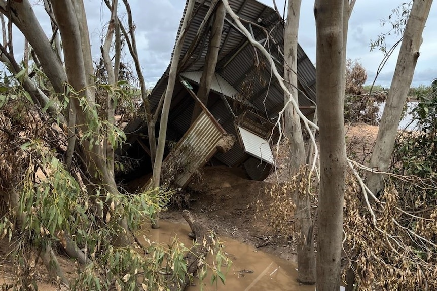 A destroyed visitor centre with twisted metal and wood behind trees