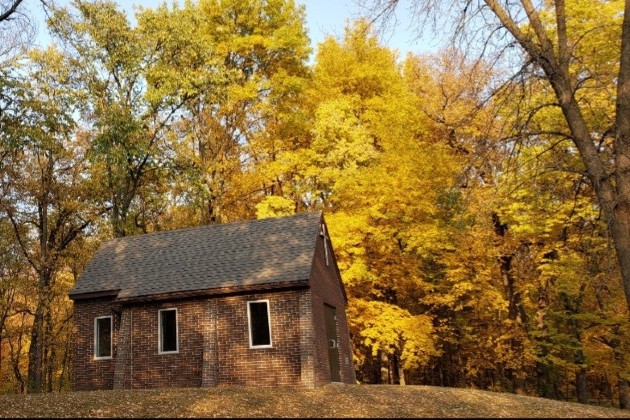 Fall autumn leaves