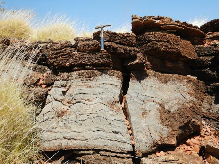 Striated rocks in a grassy landscape with a hammer placed on them for scale.