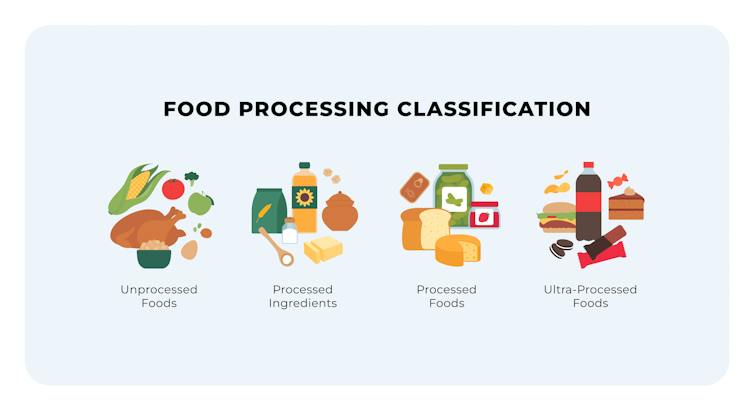 A schematic of the four NOVA food processing categories - unprocessed foods, processed ingredients, processed foods and ultraprocessed foods