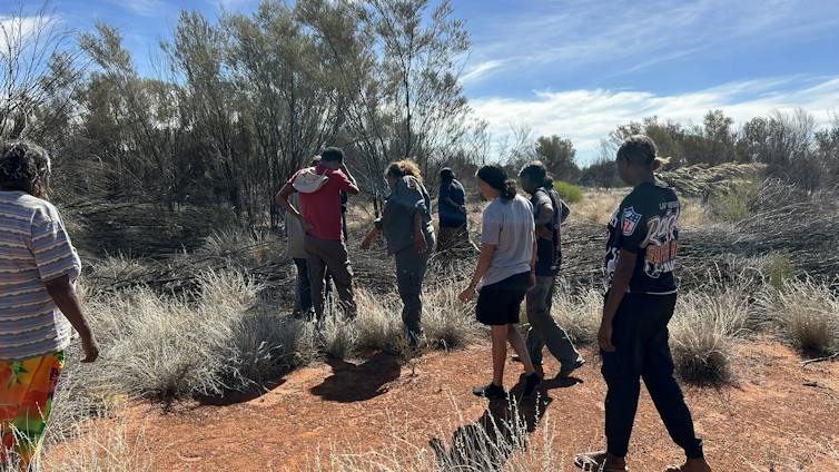 A group of people walk through the desert looking at plants.