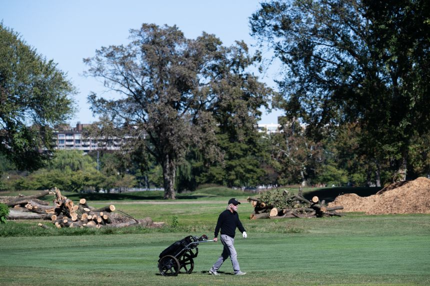 A golfer walks in front of cut-down trees at East Potomac Golf Links on Monday.