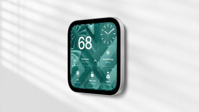 homeview wall mount