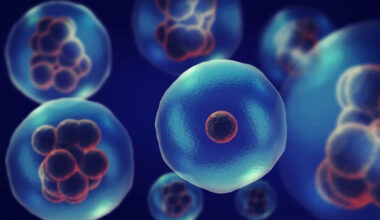 Scientists Found a Way to Upgrade the Powerhouses of Our Cells Without Shutting Them Down