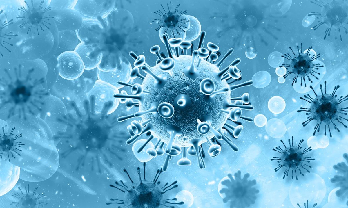 Scientists Found a “Third State” Of Being Between Life and Death