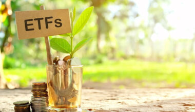 Better Emerging Markets ETF: Schwab's SCHE vs. Vanguard's VWO