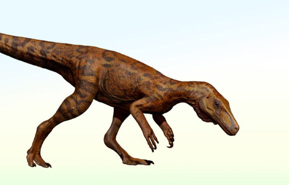 An artistic representation of the CAPPA/UFSM 0539 herrerasaurid dinosaur in life. Image credit: Johnny Pauly V. Mingau.