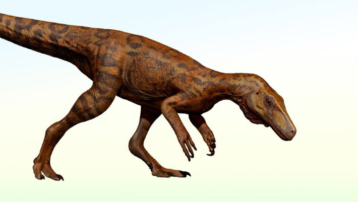 Early Predatory Dinosaurs Survived Shift in Their Ecosystem, Fossil Fragment Suggests