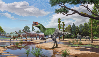 New dinosaur species, a T. rex cousin that "would have chased us," identified from fossil found 100 years ago