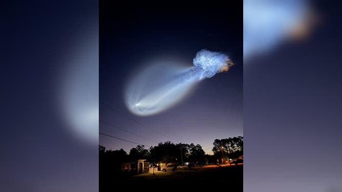 A photo showing the space jellyfish from Palm Coast, Florida.