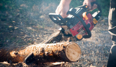 Quickly Sharpen Your Chainsaw Blade Efficiently With A Portable Amazon Find