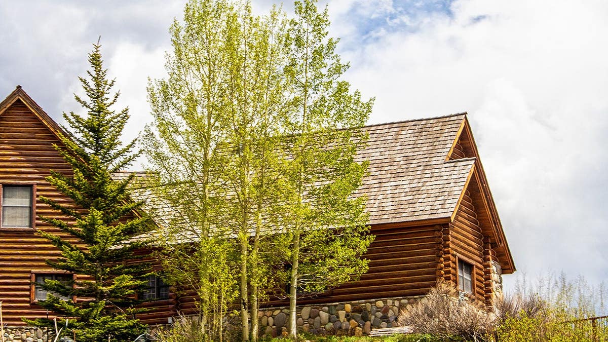 Luxury log cabin with wooden roof and rock bay window on hilltop surrounded by trees.