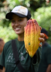 person holding cacao