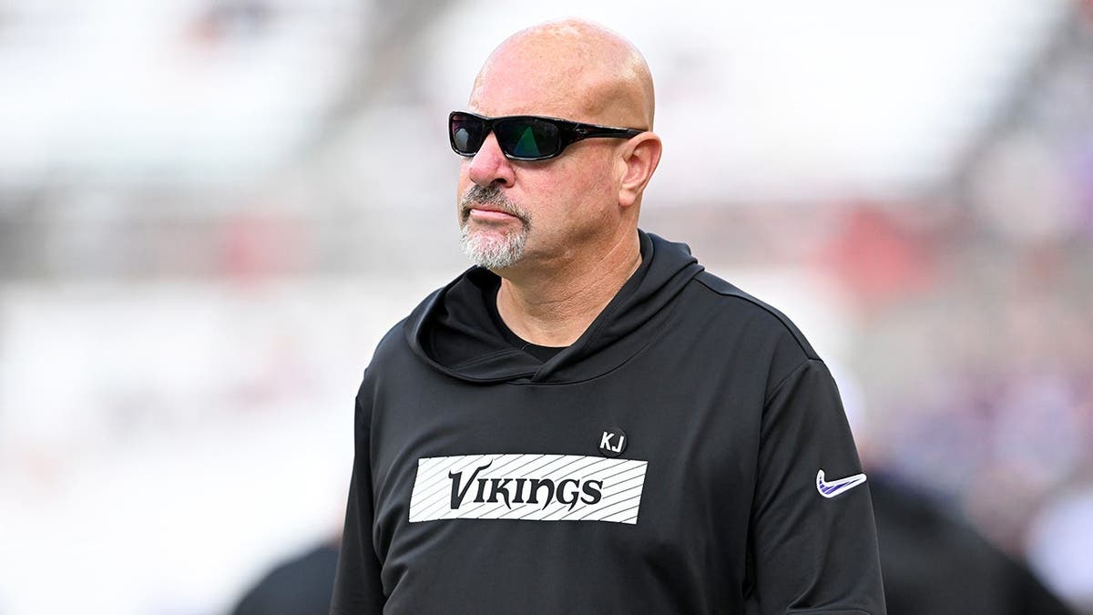 Mike Pettine, assistant head coach for the Minnesota Vikings, looks on before a preseason game.