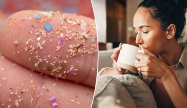 'Critical warning' about microplastics in popular drink
