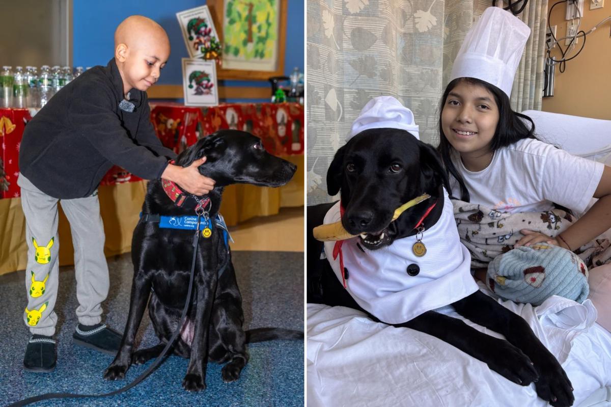 How dogs at NYC hospitals are helping heal sick kids